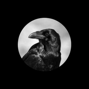 强奸黑丝美女视频
